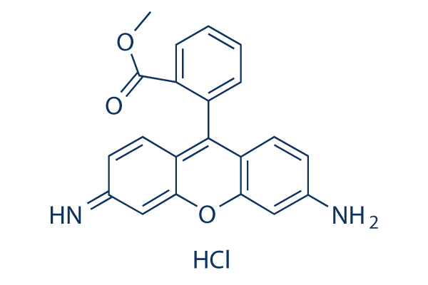 Rhodamine 123 Structure